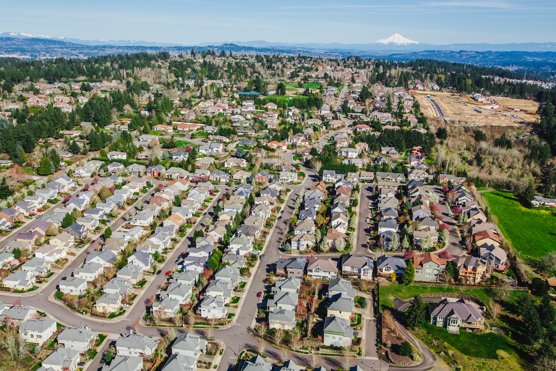 An aerial view of Tigard homes with Mt. Hood in the background. The homes are lined up and have curated natural areas around them.