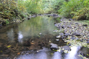 Sain Creek with still water. Rocks and plants line the edges.
