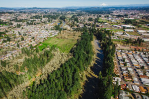 Aerial view of the Tualatin River as it sways through communities. Mt Hood peaks out in the back and the river is lined with lush trees and vegetation, casting large shadows across the water.