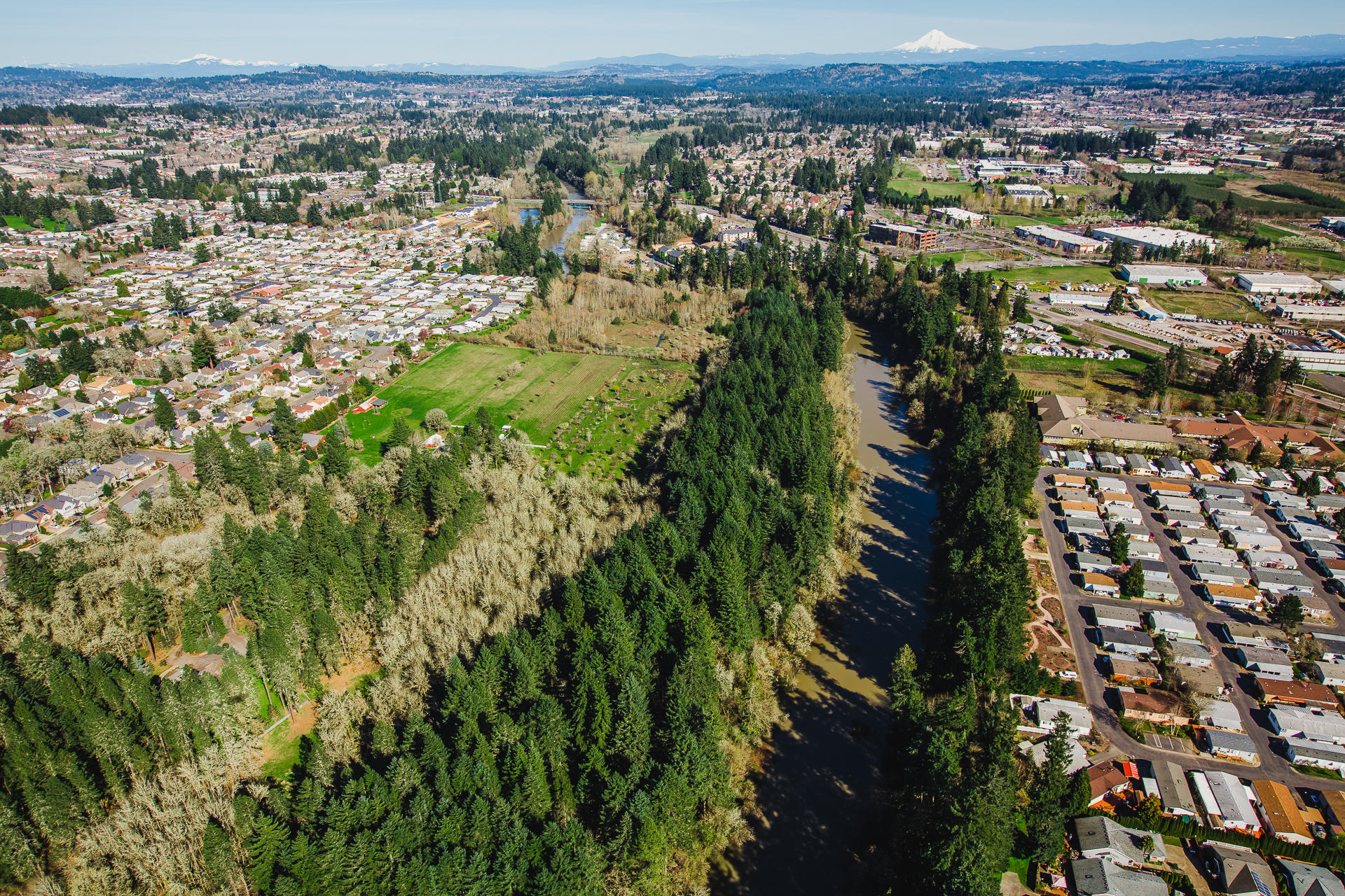Aerial view of the Tualatin River as it sways through communities. Mt Hood peaks out in the back and the river is lined with lush trees and vegetation, casting large shadows across the water.