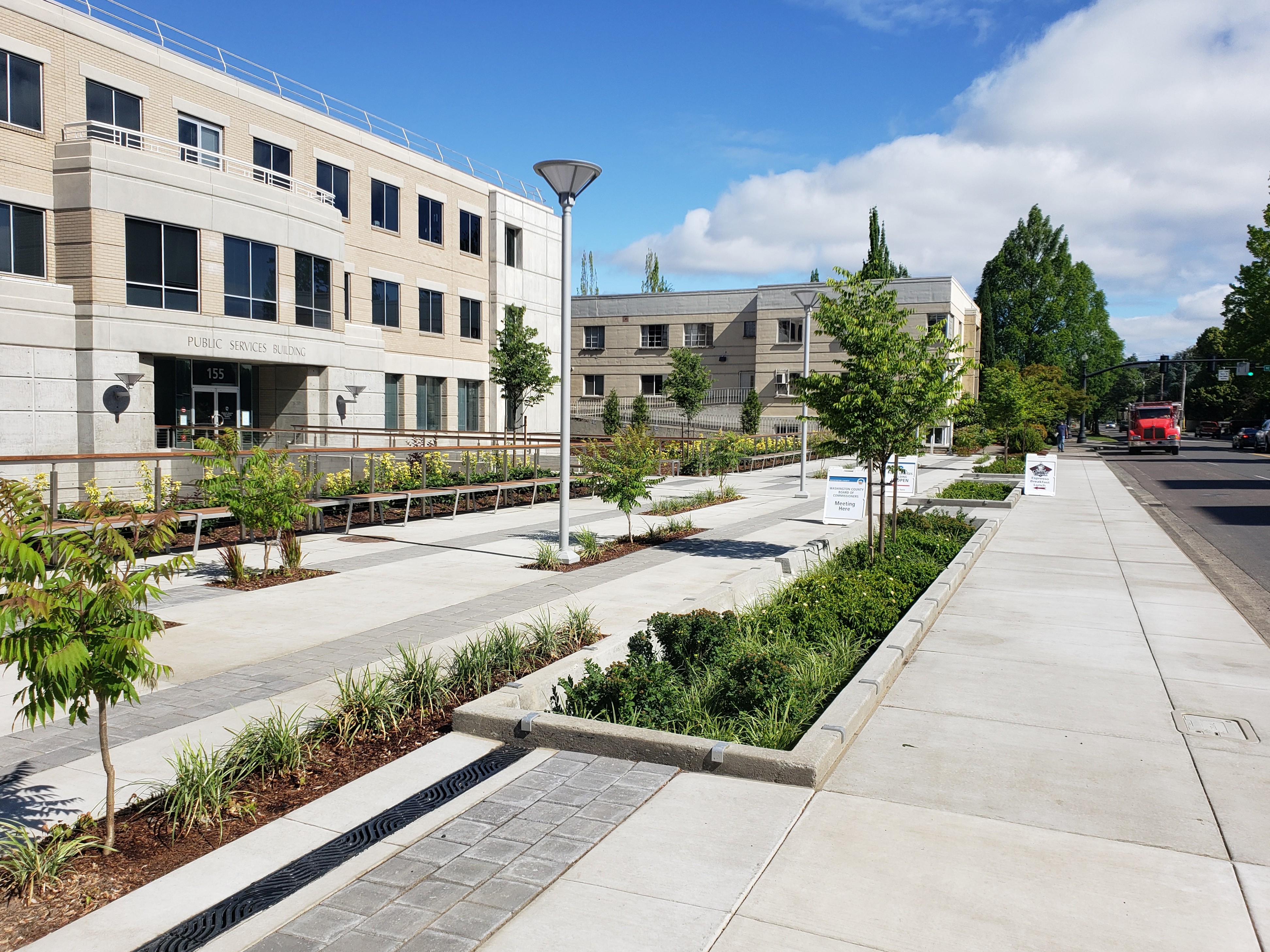 An area filled with LIDA rain gardens to help regulate stormwater.