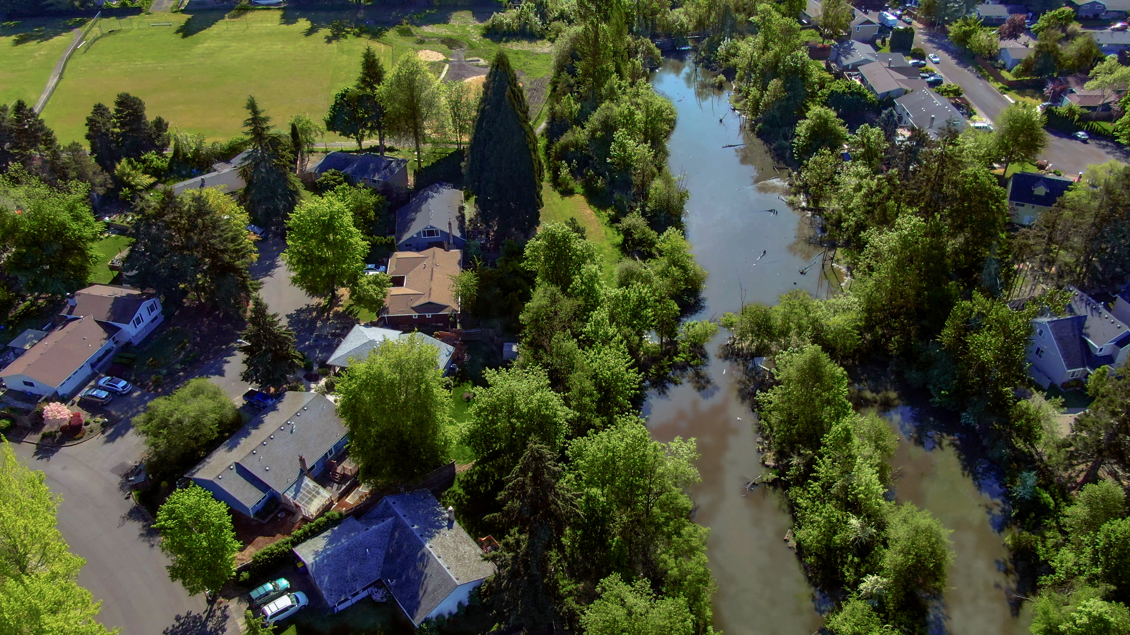 An Aerial view of Butternut Creek, a tributary to the Tualatin River, with heavy vegetation along the banks of the creek and houses backing up to the water.