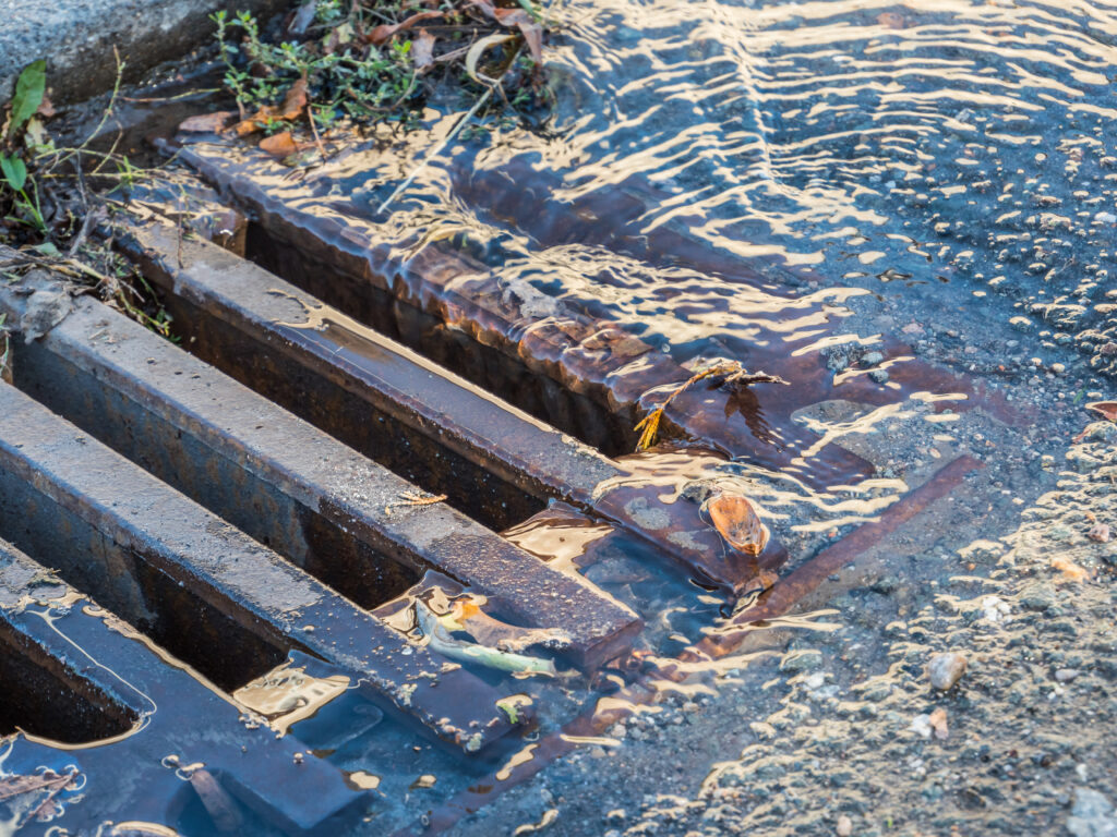 A storm drain with natural debris and water