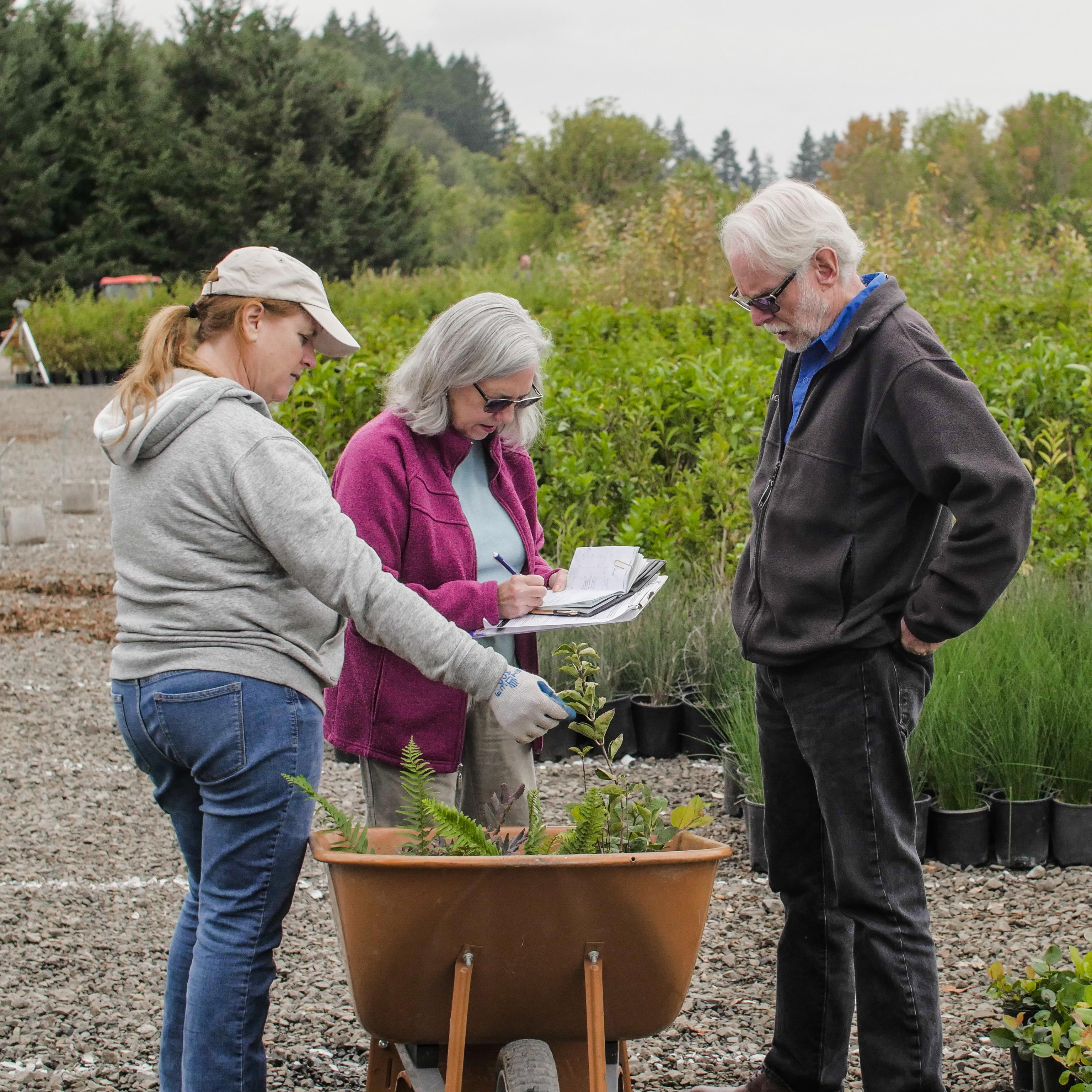 Two community members talk to a Clean Water Services employee at a Native Plant Giveaway. They look at the plants in the wheelbarrow and check off their selections on a list. Professional, Native Plant, Native Plant Sale, Tualatin River Farm, Apparel, Clothing, Garden, Gardener, Gardening, Human, Outdoors, Pants, Person, Worker Two community members talk to a Clean Water Services employee at a Native Plant Giveaway. They look at the plants in the wheelbarrow and check off their selections on a list.