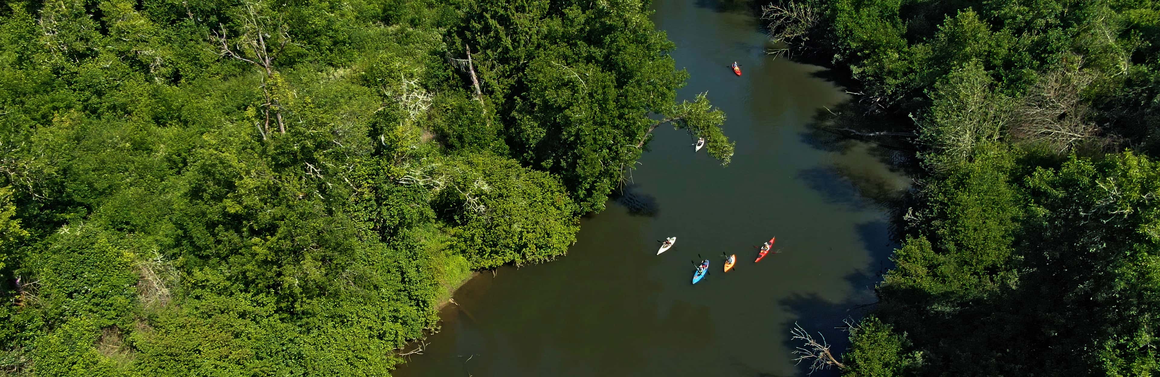 Kayaks on Tualatin River