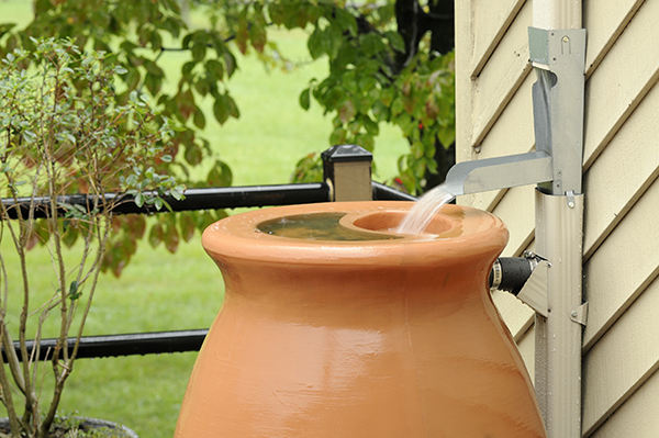 A large brown rain barrel collects pouring water from a gutter system