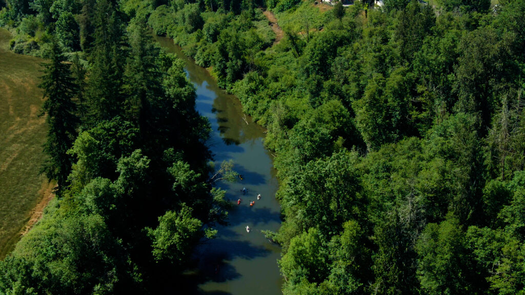 An aerial view of kayakers on the Tualatin River, surrounded by lush vegetation.