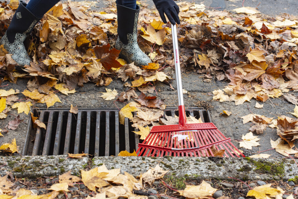 A person rakes fall leaves away from a storm drain.