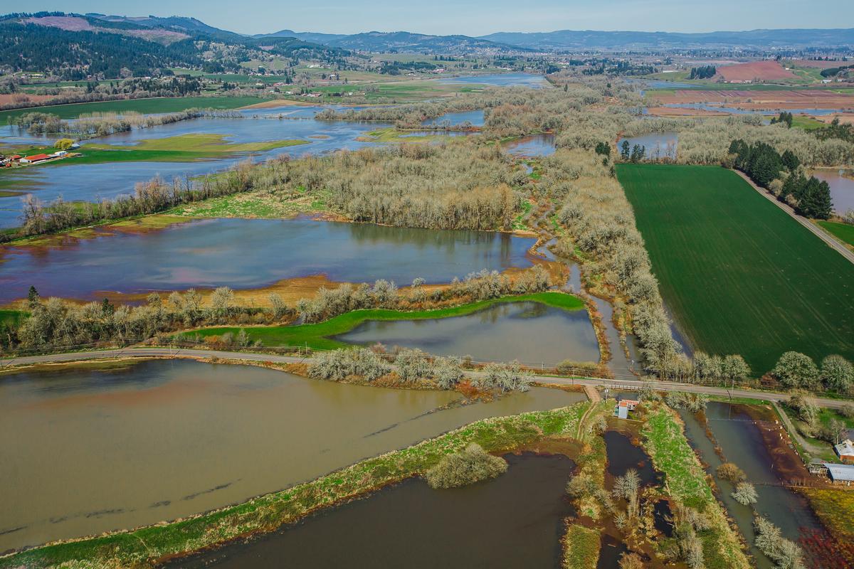 Wapato Lake, viewed from above, showing vibrant colors of green and blues