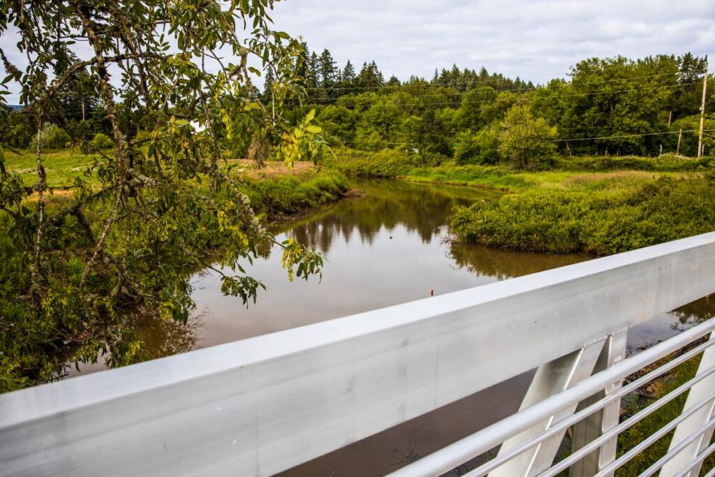 The Tualatin River viewed from the walking bridge at Wapato Lake National Wildlife Refuge