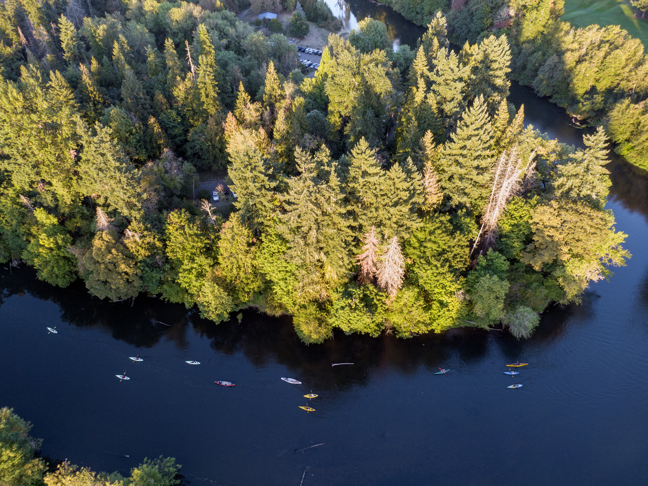 An aerial view of kayakers on the tree-lined Tualatin River.