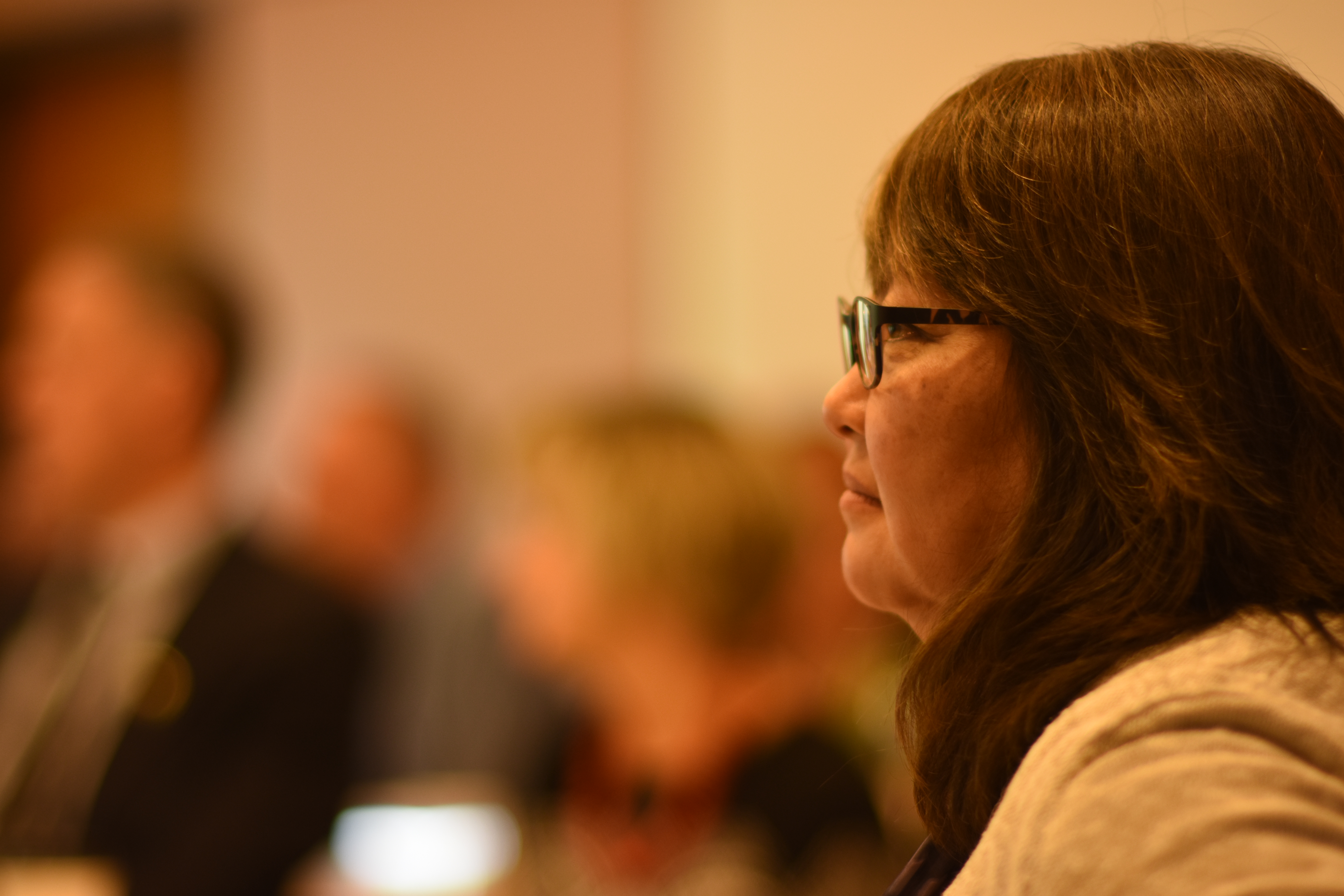 A profile of Diane Taniguchi-Dennis listening to a presentation, with blurry images of other people in the background.