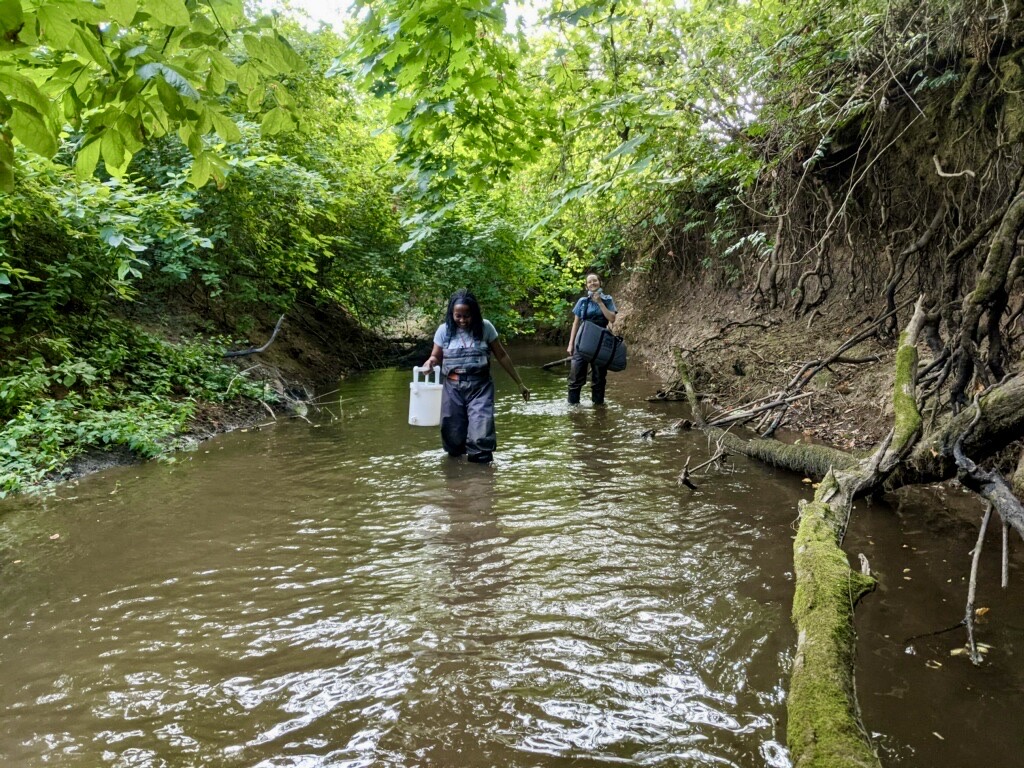 Two people in wading gear walk in the middle of a tree-lined creek, carrying gear for collecting samples.