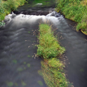 An image of Scoggins Dam